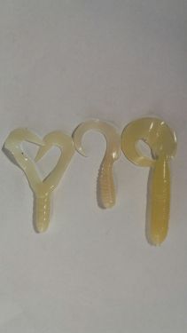 Curly Tail  Fosfori  10-12 cm